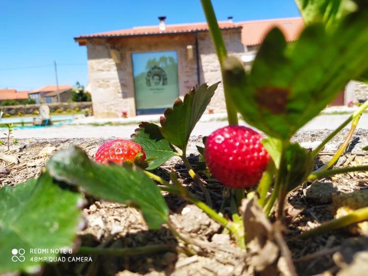Casa D'Augusta - Agroturismo 미란다도두로 외부 사진